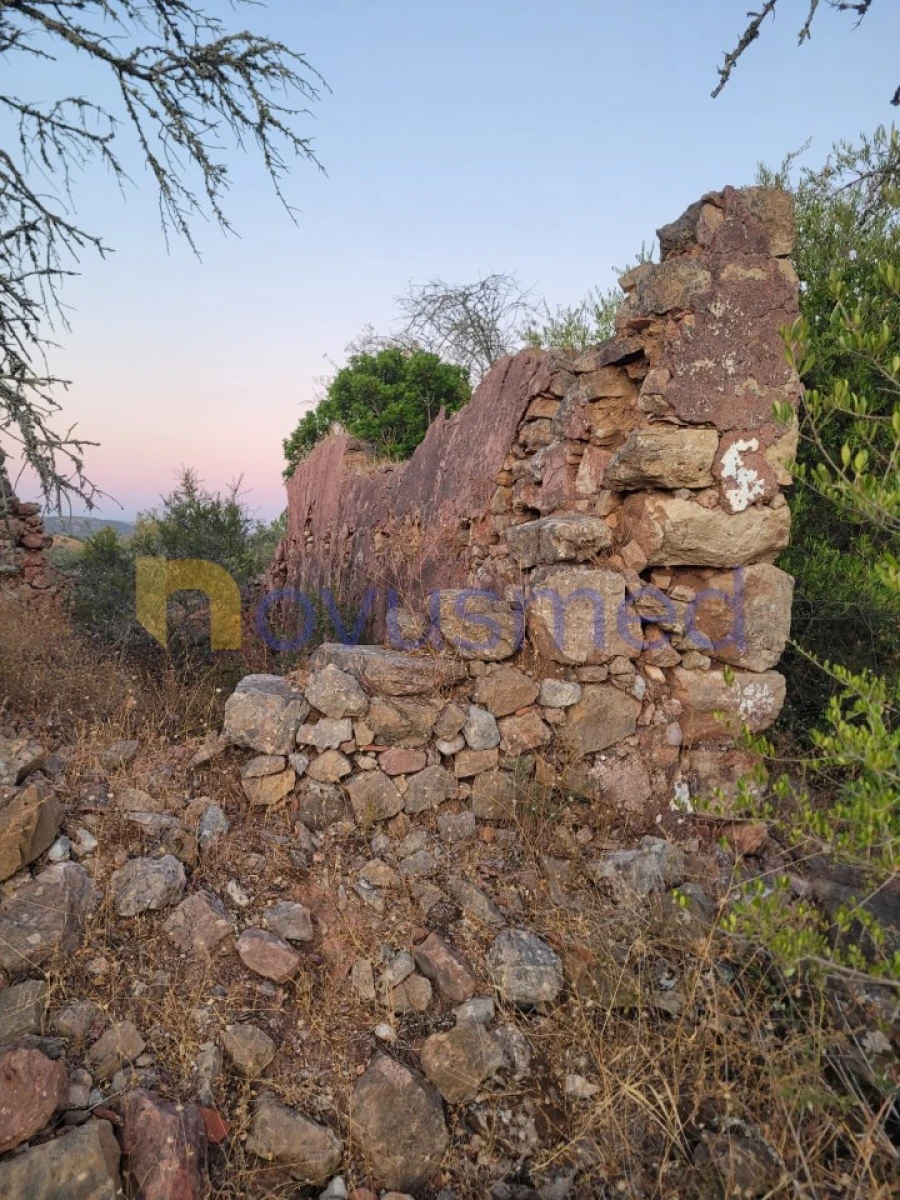 Terreno Misto para Venda em São Bartolomeu de Messines Foto 20