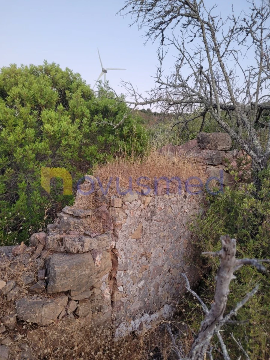 Terreno Misto para Venda em São Bartolomeu de Messines Foto 23