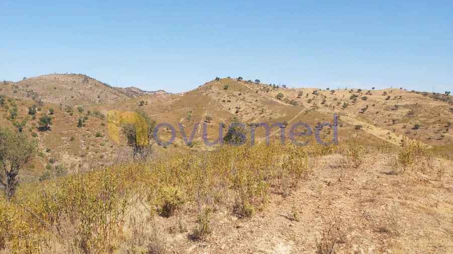 Quinta T36 para Venda em São Bartolomeu de Messines Foto 15