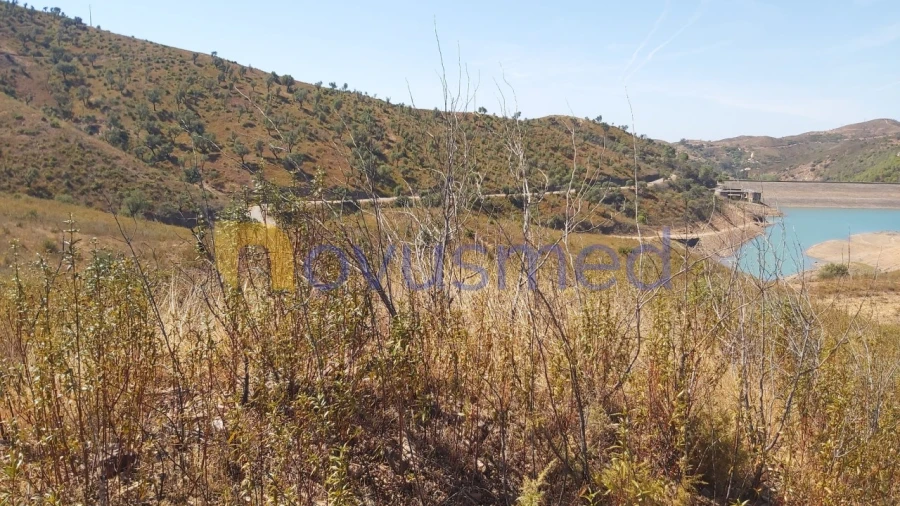 Quinta T36 para Venda em São Bartolomeu de Messines Foto 18