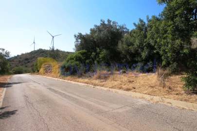 Terreno Agricola ou Rústico para Venda em São Bartolomeu de Messines