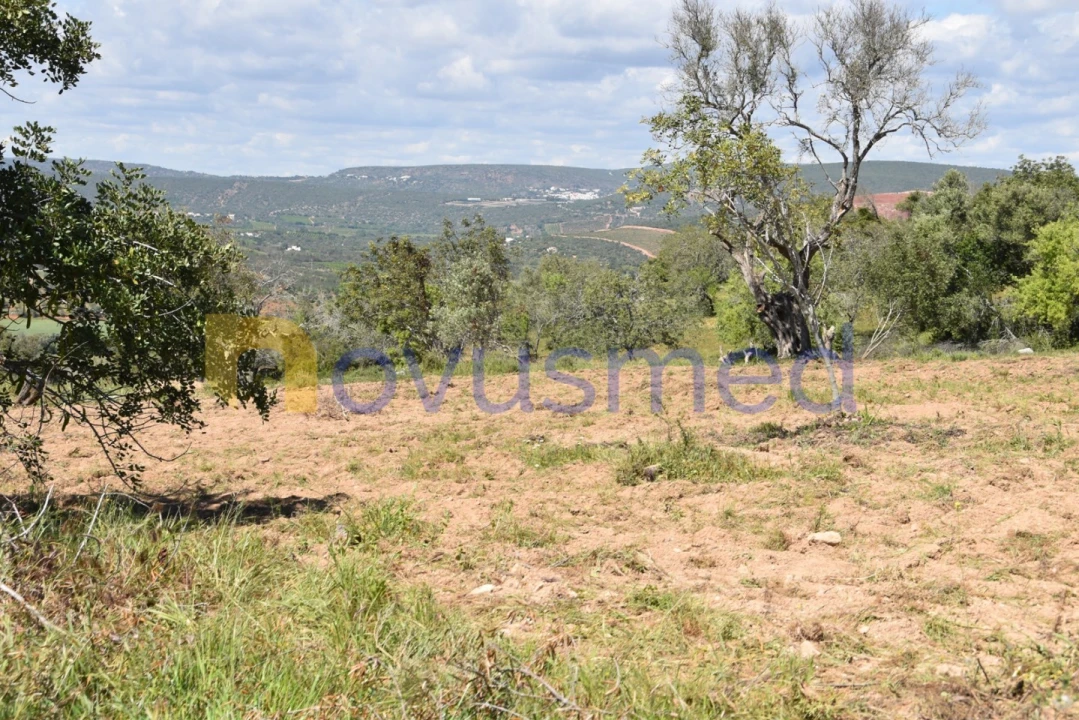 Terreno para Venda em Paderne Foto 5