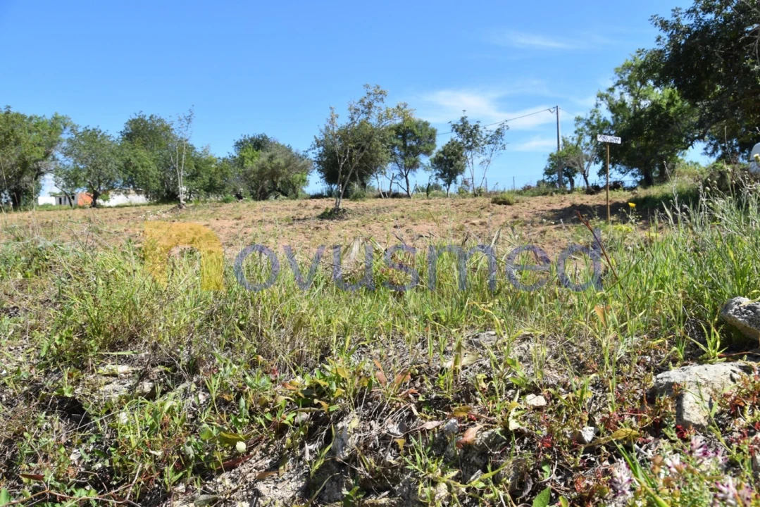 Terreno para Venda em Paderne Foto 11