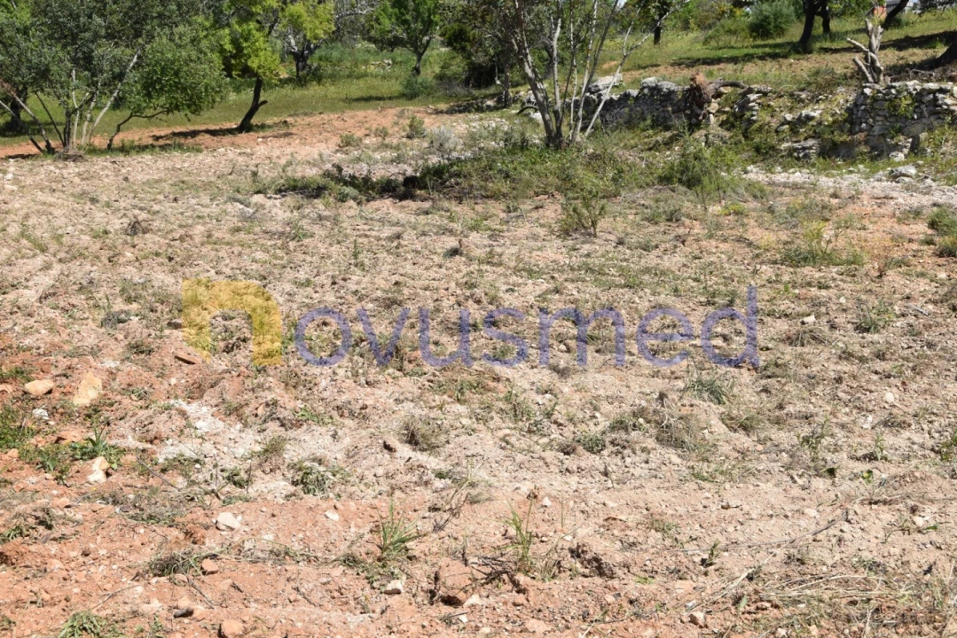 Terreno para Venda em Paderne Foto 12