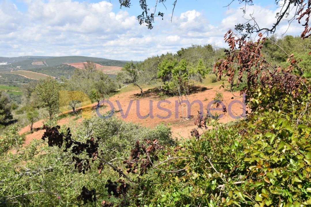 Terreno para Venda em Paderne Foto 13
