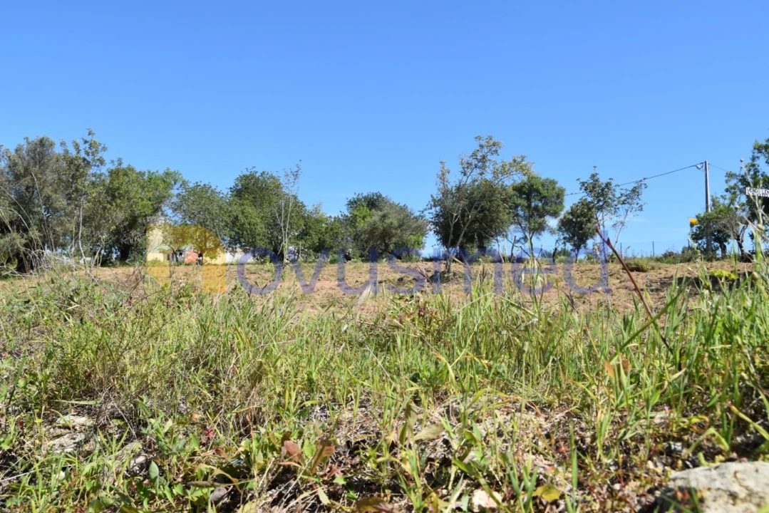 Terreno para Venda em Paderne Foto 14