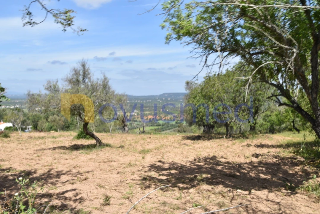 Terreno para Venda em Paderne Foto 18