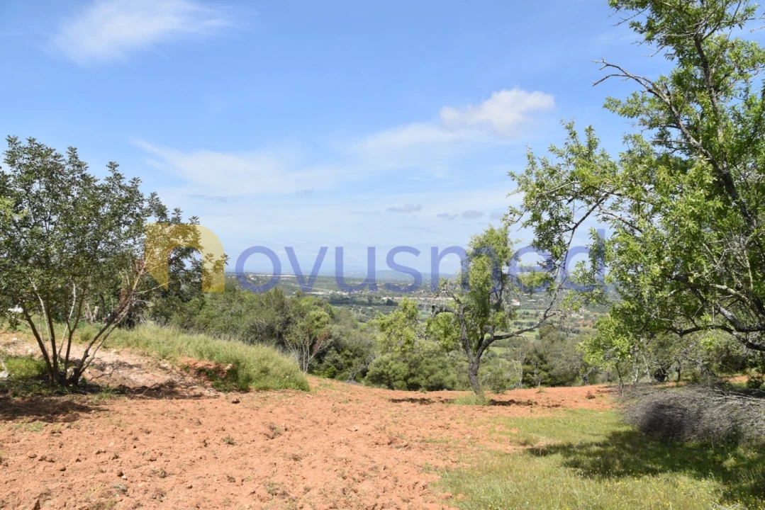 Terreno para Venda em Paderne Foto 22