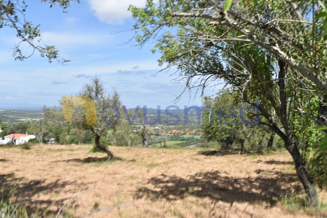 Terreno para Venda em Paderne Foto 25