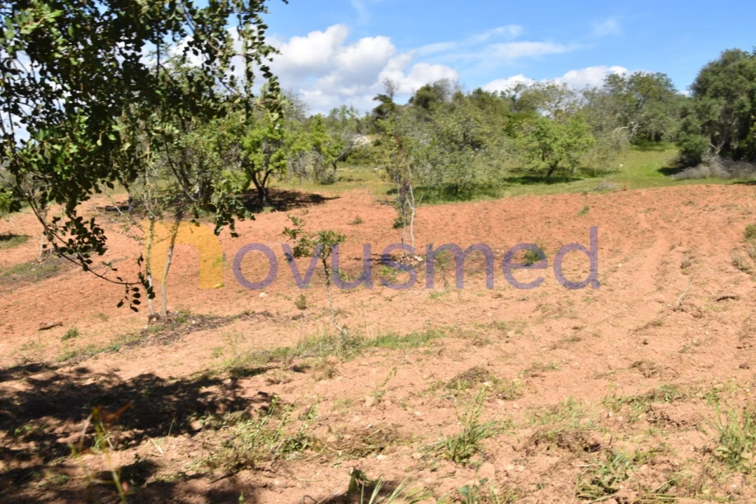 Terreno para Venda em Paderne Foto 26