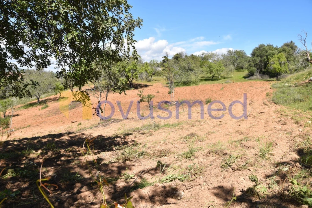 Terreno para Venda em Paderne Foto 27