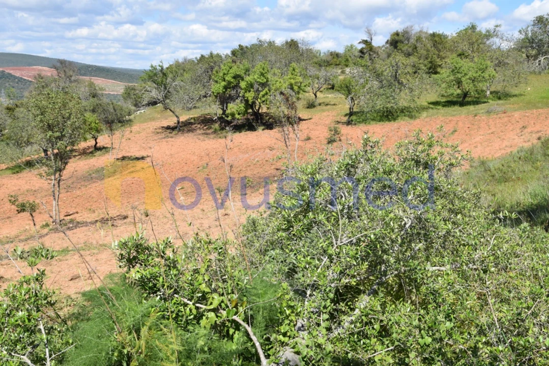 Terreno para Venda em Paderne Foto 28