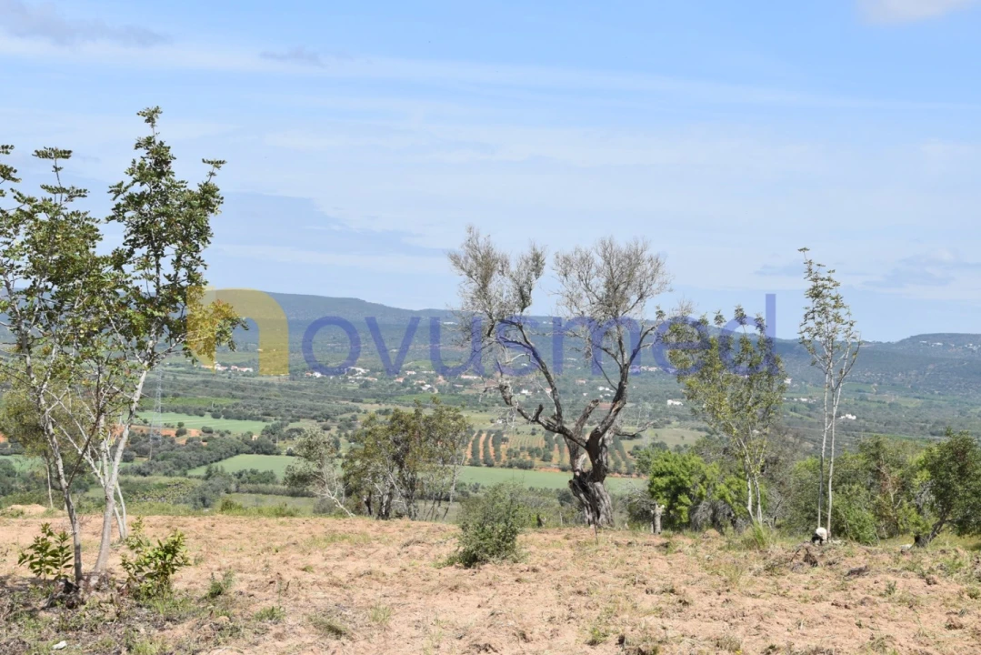 Terreno para Venda em Paderne Foto 29