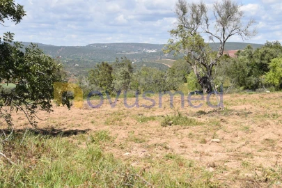 Terreno para Venda em Paderne