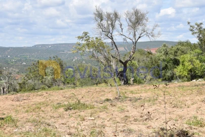 Terreno para Venda em Paderne