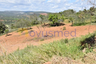 Terreno para Venda em Paderne