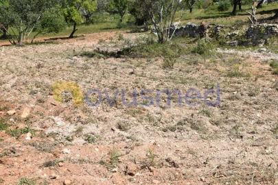 Terreno para Venda em Paderne