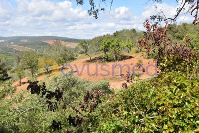 Terreno para Venda em Paderne