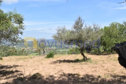 Terreno para Venda em Paderne