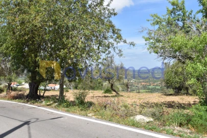 Terreno para Venda em Paderne