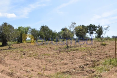 Terreno para Venda em Paderne