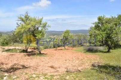 Terreno para Venda em Paderne