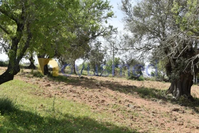 Terreno para Venda em Paderne