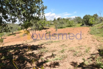 Terreno para Venda em Paderne