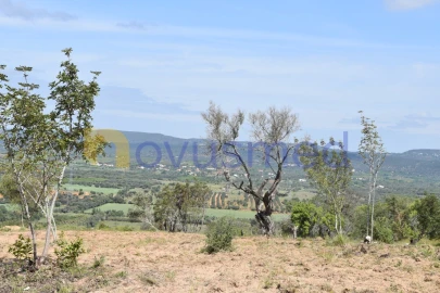 Terreno para Venda em Paderne
