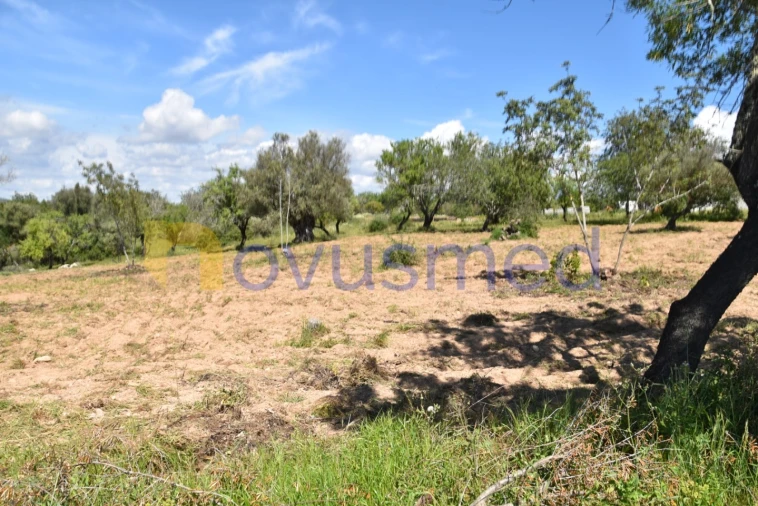 Terreno para Venda em Paderne Foto 7