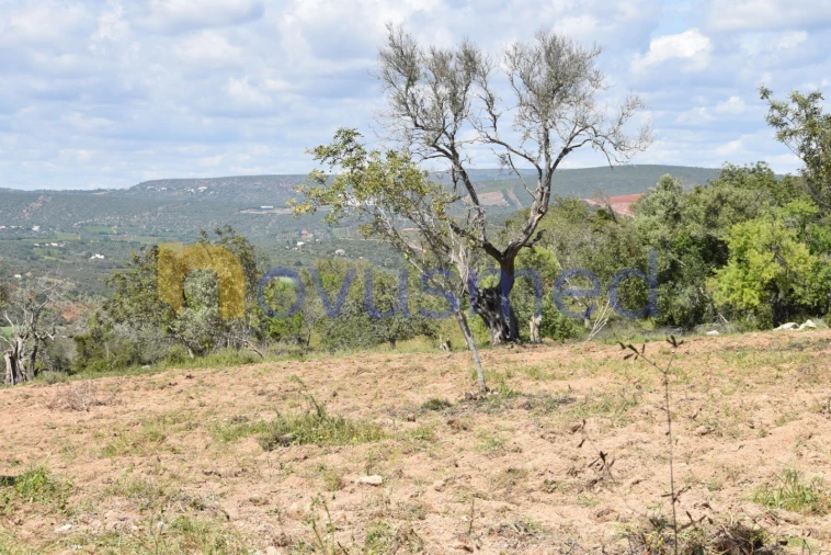 Terreno para Venda em Paderne Foto 8