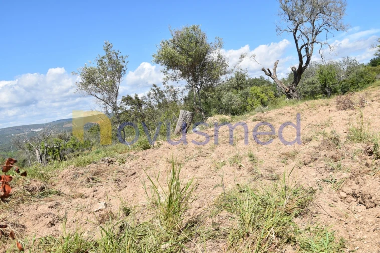 Terreno para Venda em Paderne Foto 16