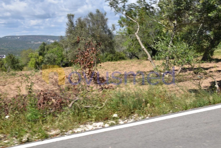 Terreno para Venda em Paderne Foto 17
