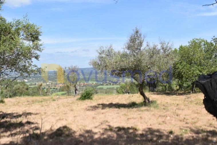 Terreno para Venda em Paderne Foto 3