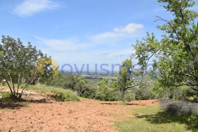Terreno para Venda em Paderne Foto 22