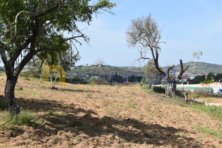 Terreno para Venda em Paderne Foto 23