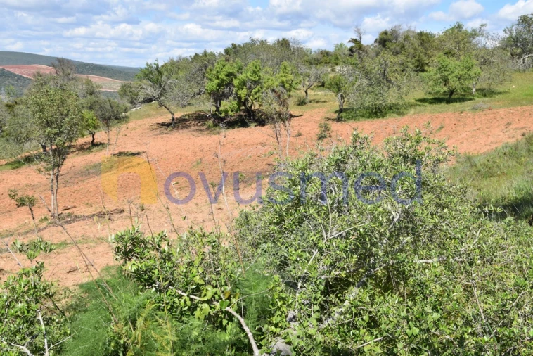 Terreno para Venda em Paderne Foto 28