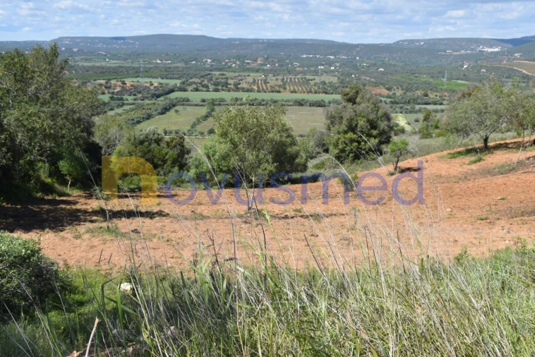 Terreno para Venda em Paderne Foto 4