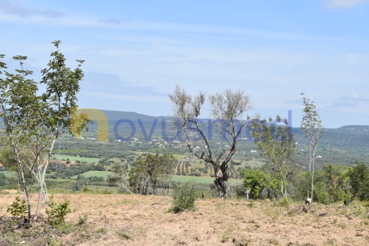 Terreno para Venda em Paderne Foto 29