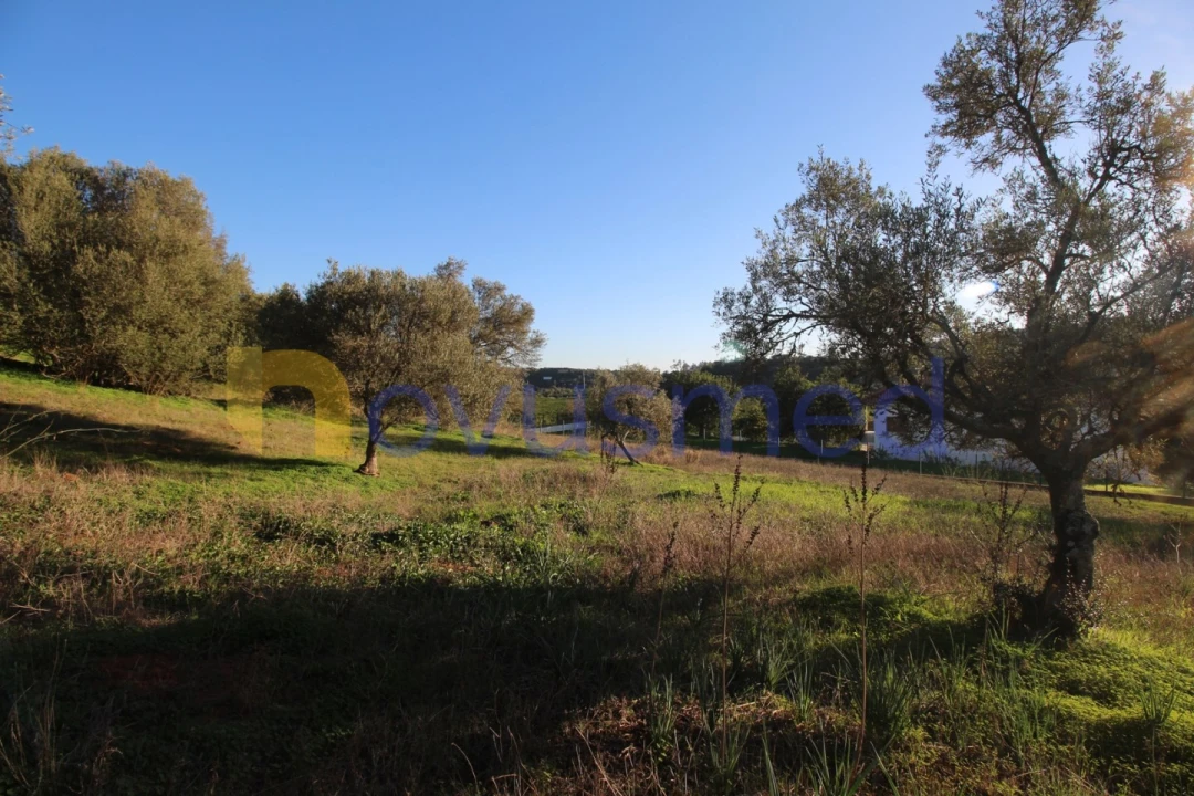 Terreno para Venda em São Bartolomeu de Messines Foto 7