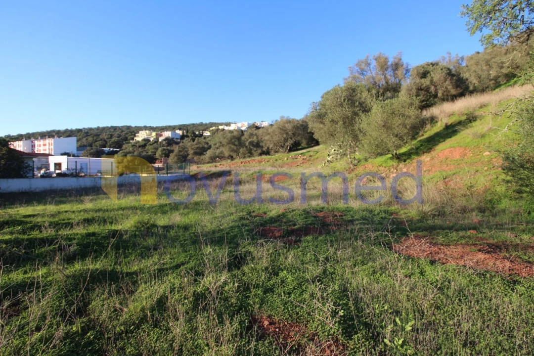 Terreno para Venda em São Bartolomeu de Messines Foto 10