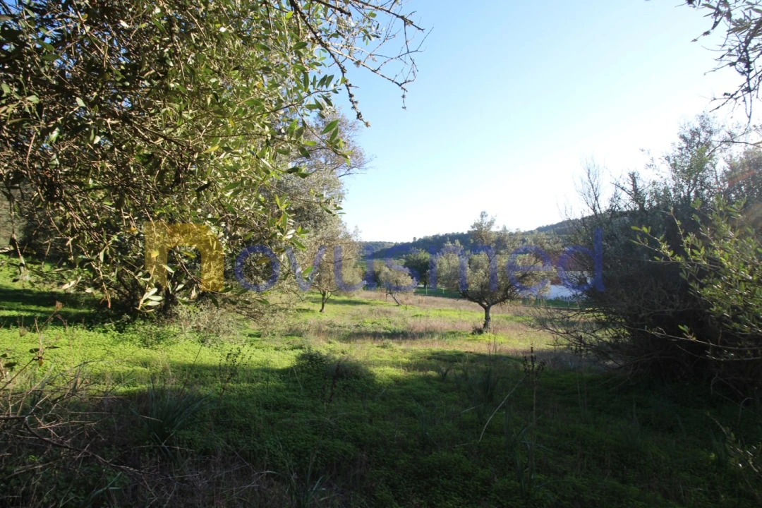 Terreno para Venda em São Bartolomeu de Messines Foto 4
