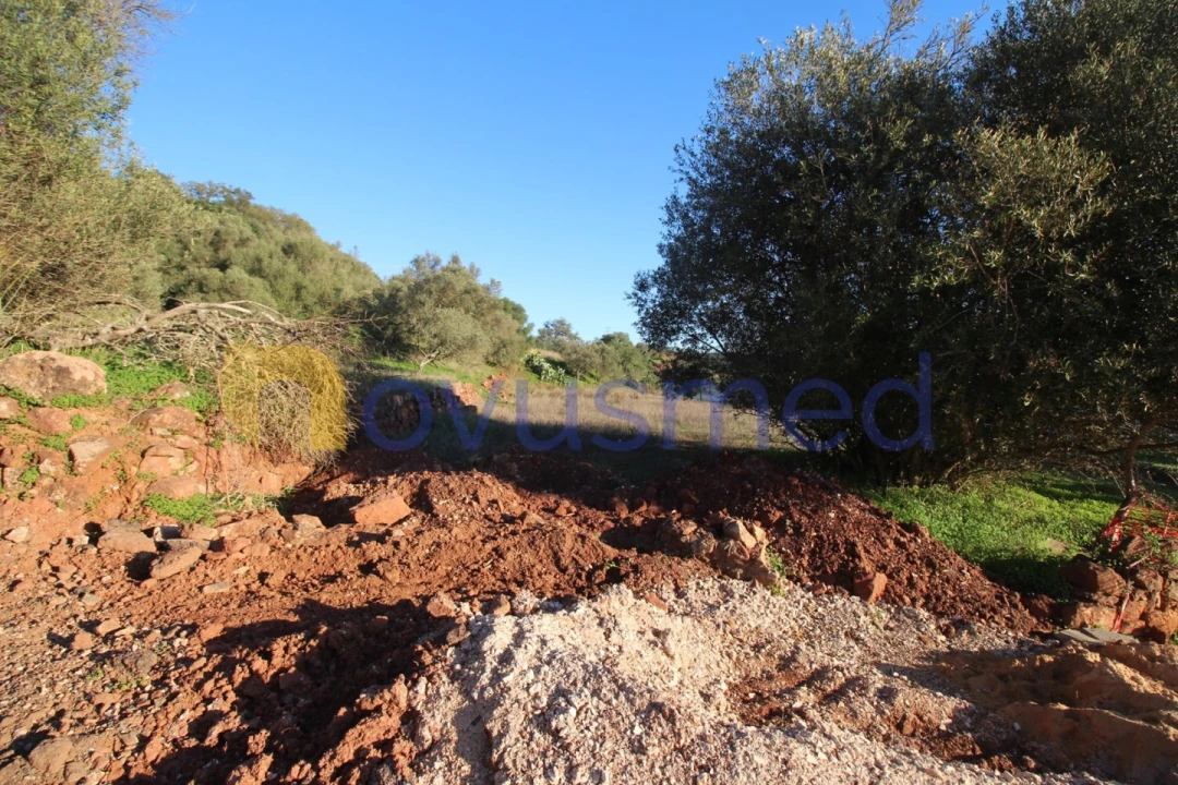 Terreno para Venda em São Bartolomeu de Messines Foto 17