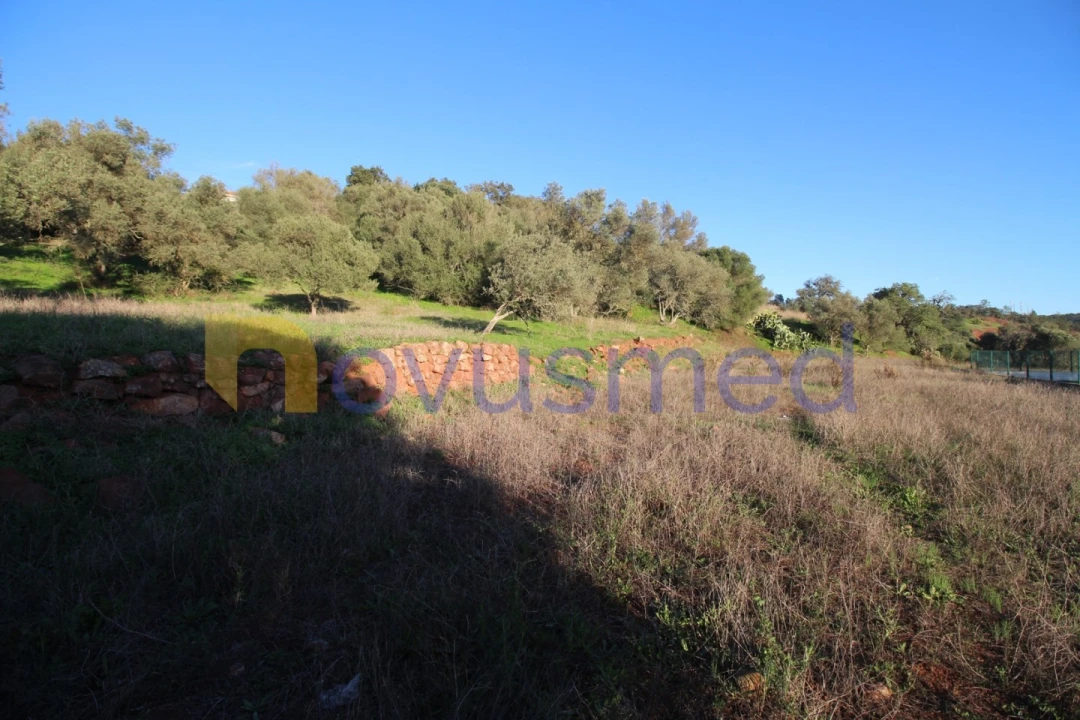 Terreno para Venda em São Bartolomeu de Messines Foto 24