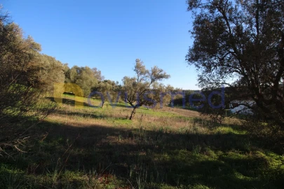 Terreno para Venda em São Bartolomeu de Messines
