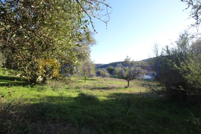 Terreno para Venda em São Bartolomeu de Messines