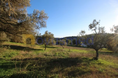 Terreno para Venda em São Bartolomeu de Messines
