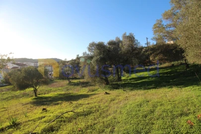 Terreno para Venda em São Bartolomeu de Messines