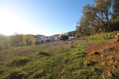 Terreno para Venda em São Bartolomeu de Messines