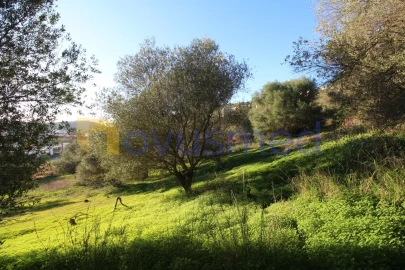 Terreno para Venda em São Bartolomeu de Messines